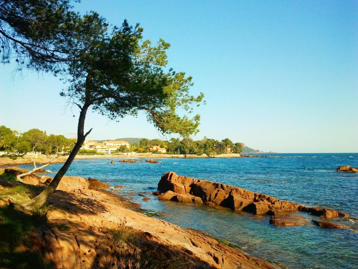 Residence Golfs De Valescure 9 Saint-Raphaël Dış mekan fotoğraf