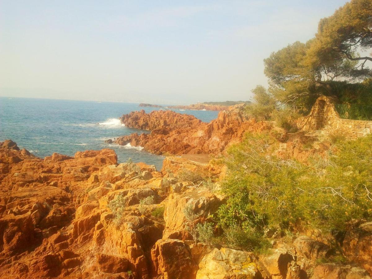 Residence Golfs De Valescure 9 Saint-Raphaël Dış mekan fotoğraf