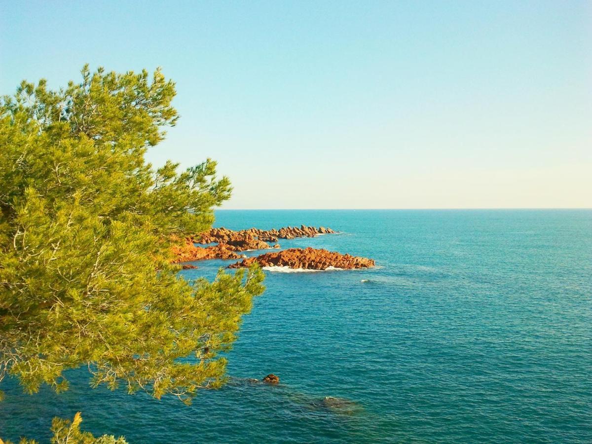 Residence Golfs De Valescure 9 Saint-Raphaël Dış mekan fotoğraf