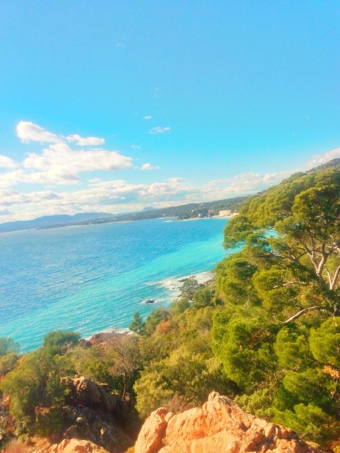 Residence Golfs De Valescure 9 Saint-Raphaël Dış mekan fotoğraf